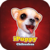 iPuppy Chihuahua iPhone Game Review