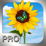 photo manager pro icon