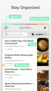 pocket-iphone-app-review-organized