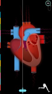 the-human-body-iphone-app-review-heart